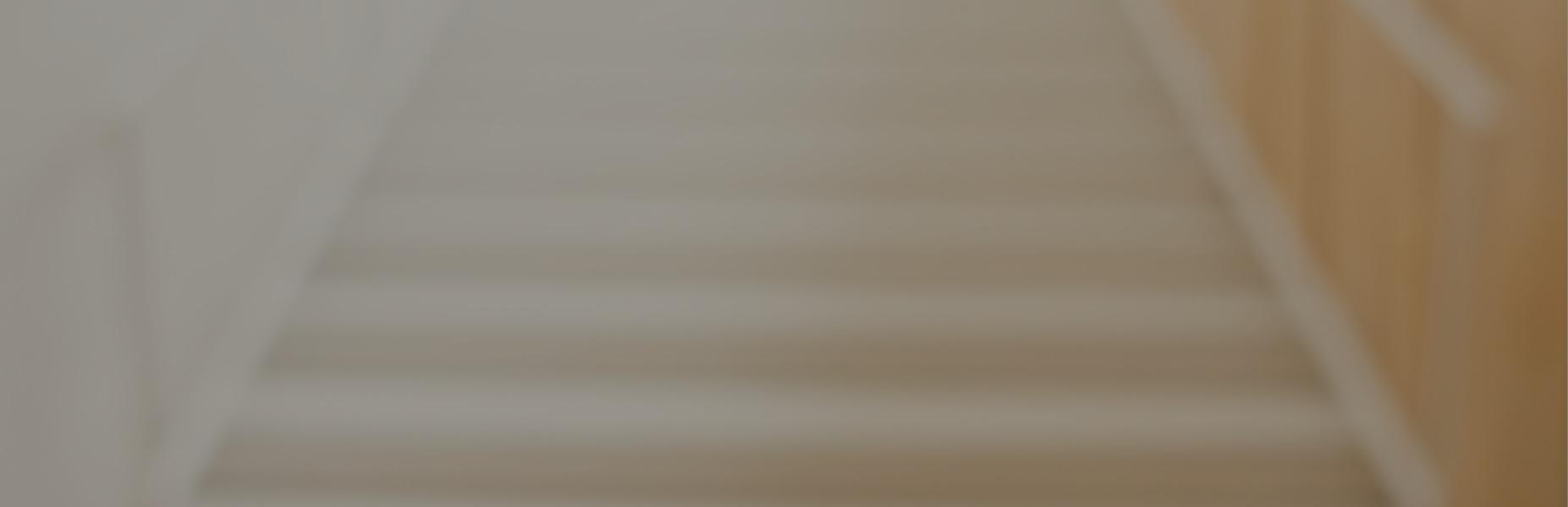 Banner de busca